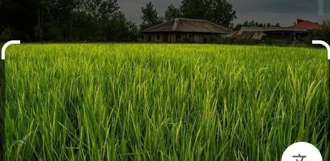 تصویر املاک 109562