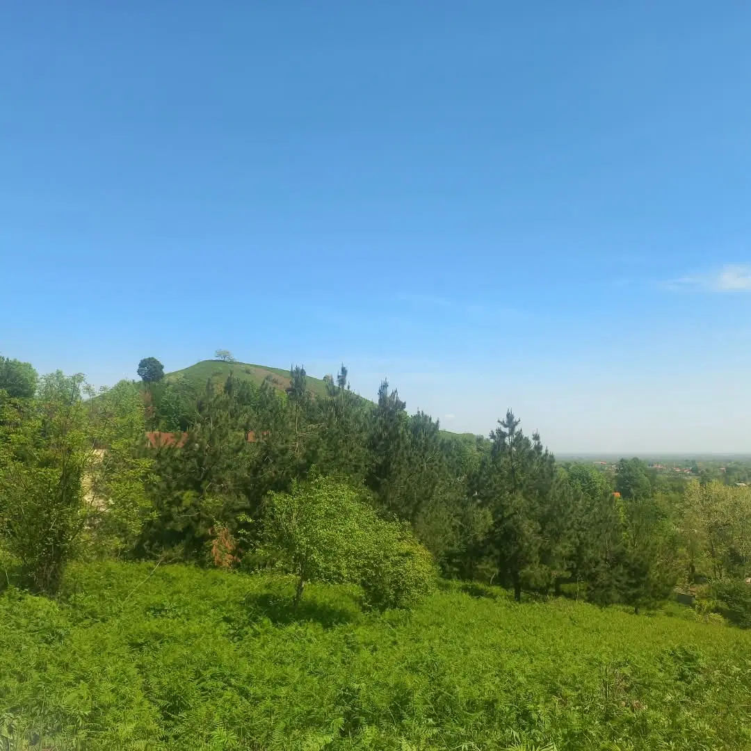 تصویر املاک 143072