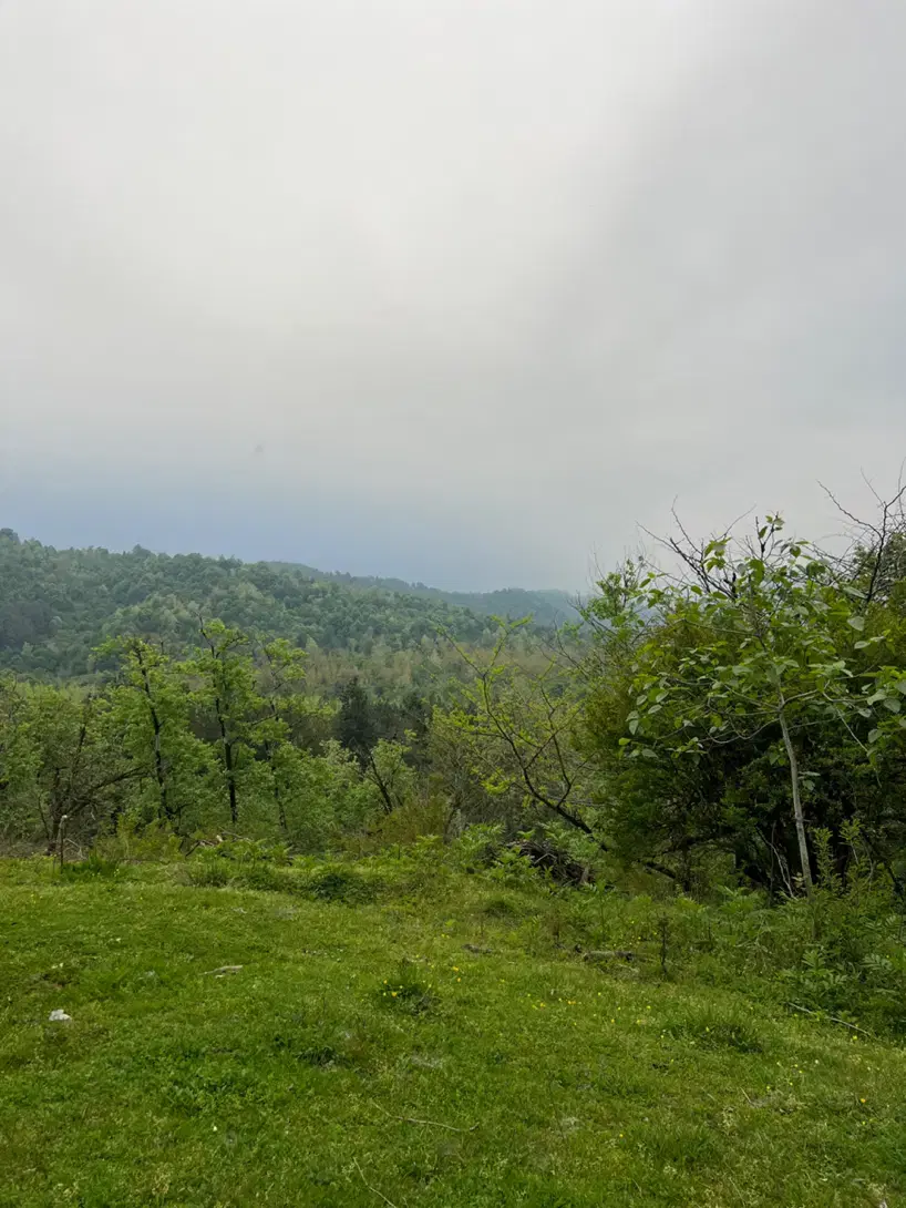 تصویر املاک 99088