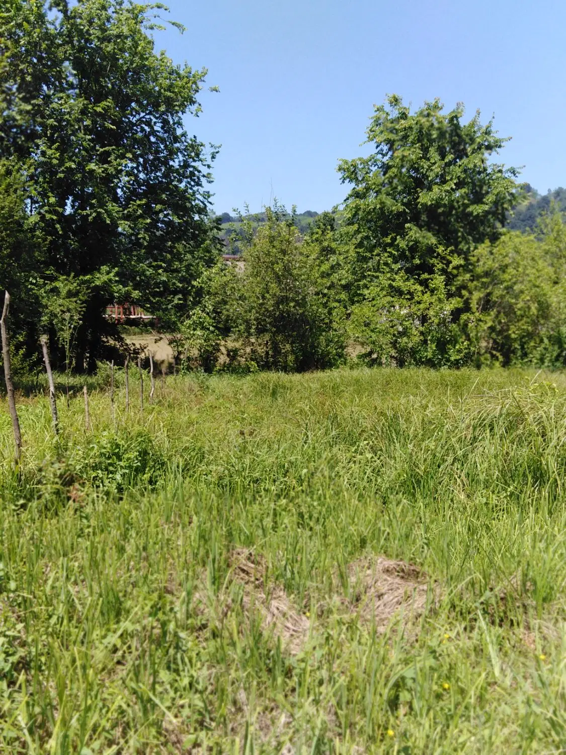 تصویر املاک 105859