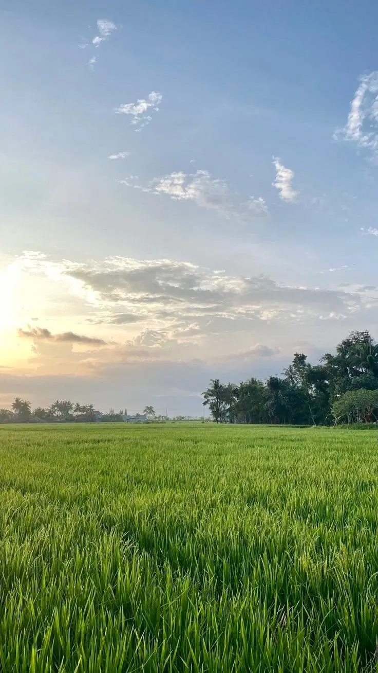 تصویر املاک 101044