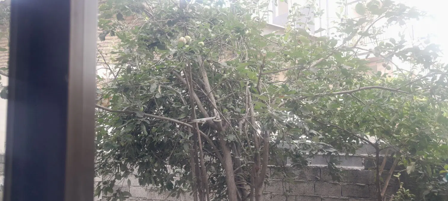 تصویر املاک 120457