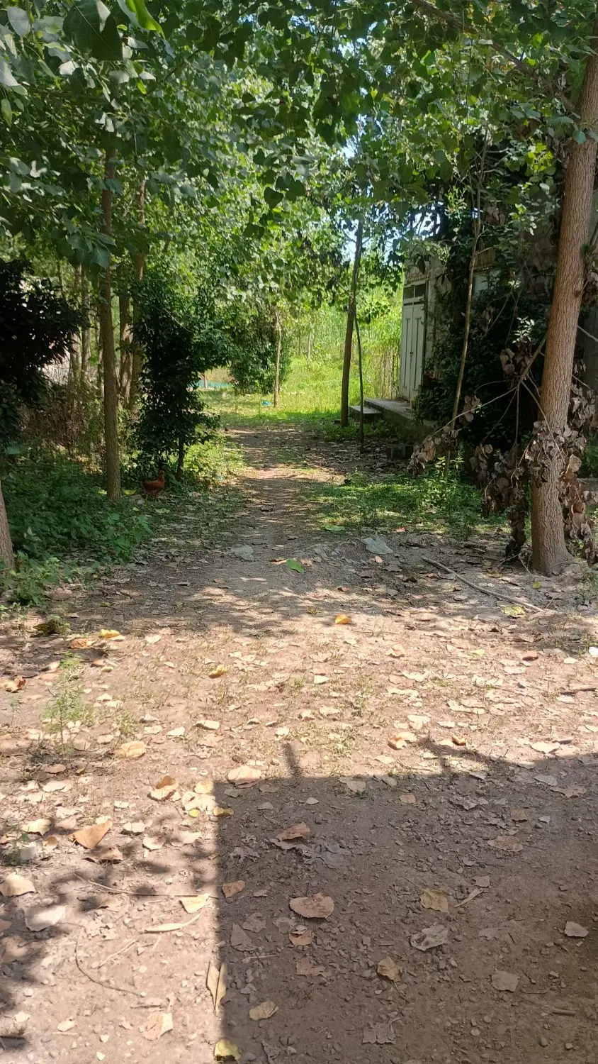 تصویر املاک 117484