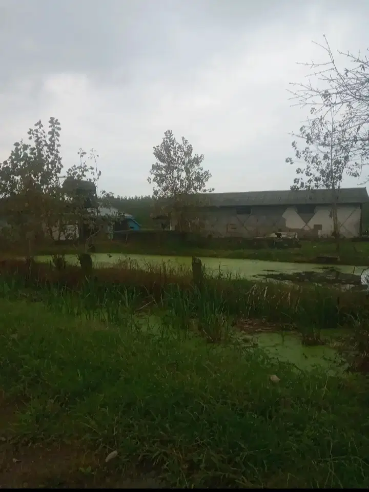 تصویر املاک 100087