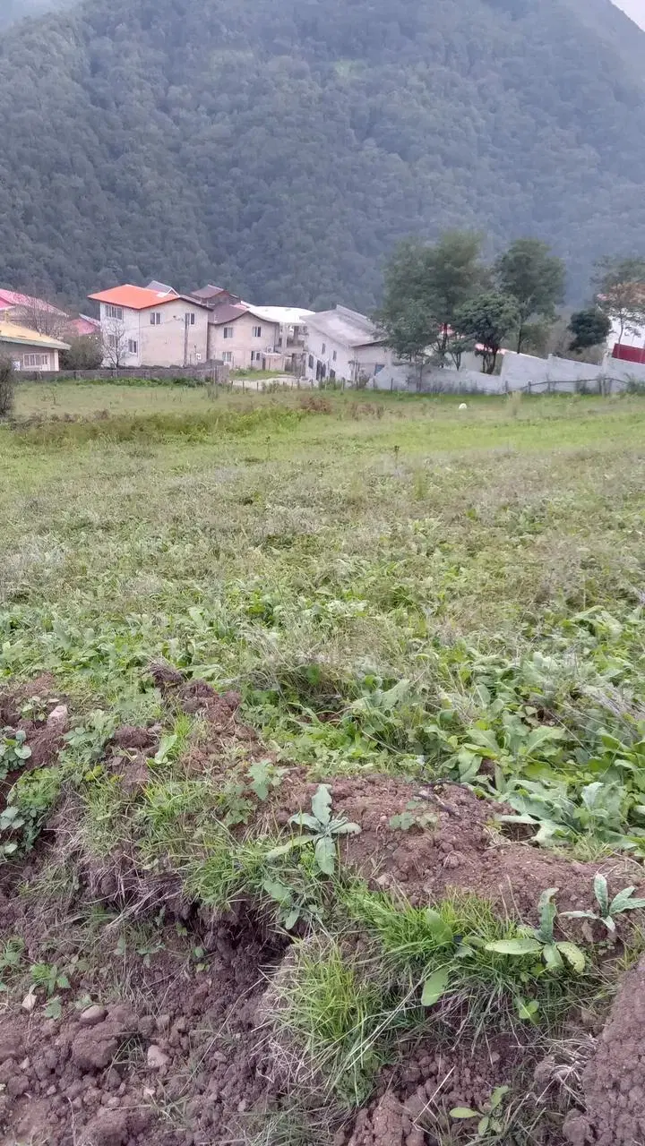 تصویر املاک 111557