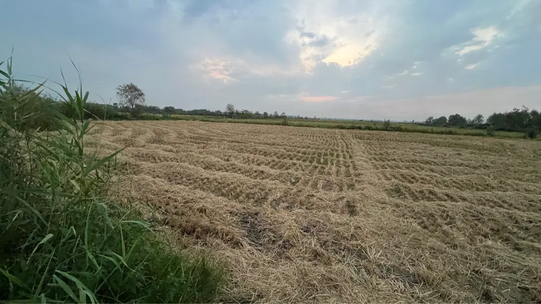 تصویر املاک 113980