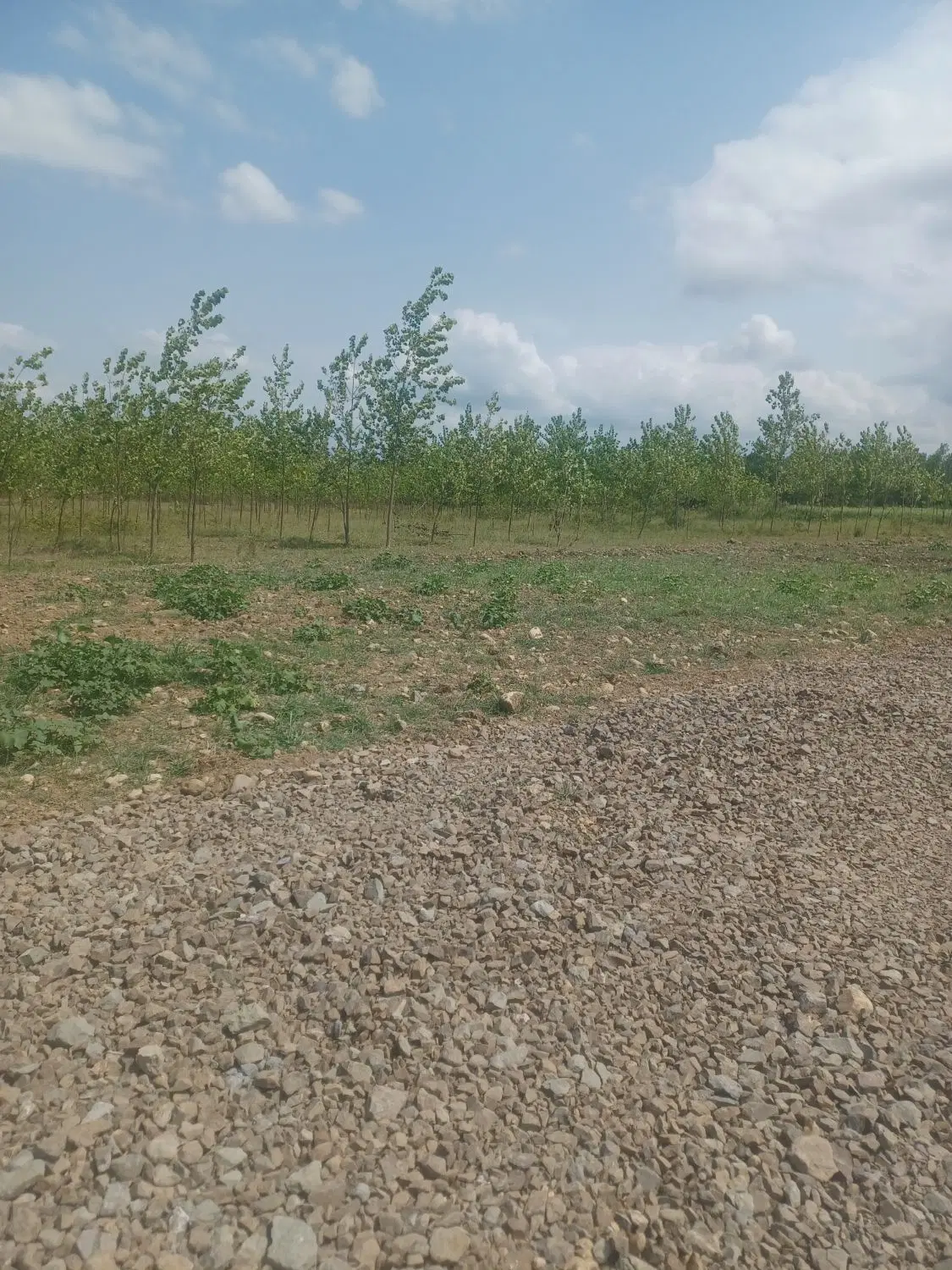 تصویر املاک 94426