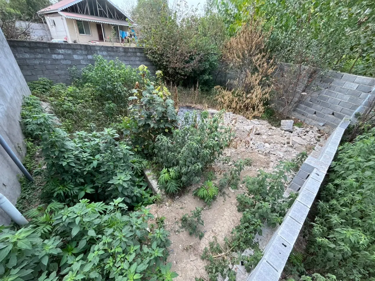 تصویر املاک 116008