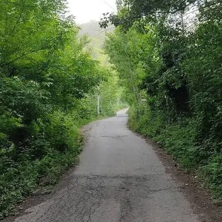 تصویر املاک 87922