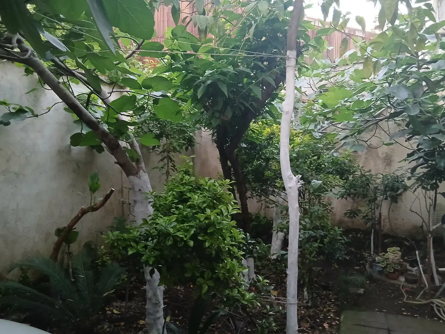 تصویر املاک 40732