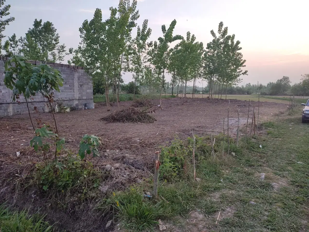 تصویر املاک 88132