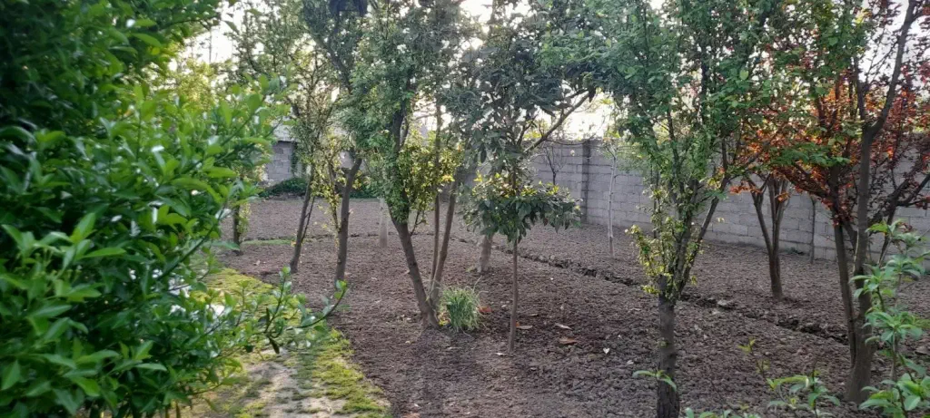 تصویر املاک 142387