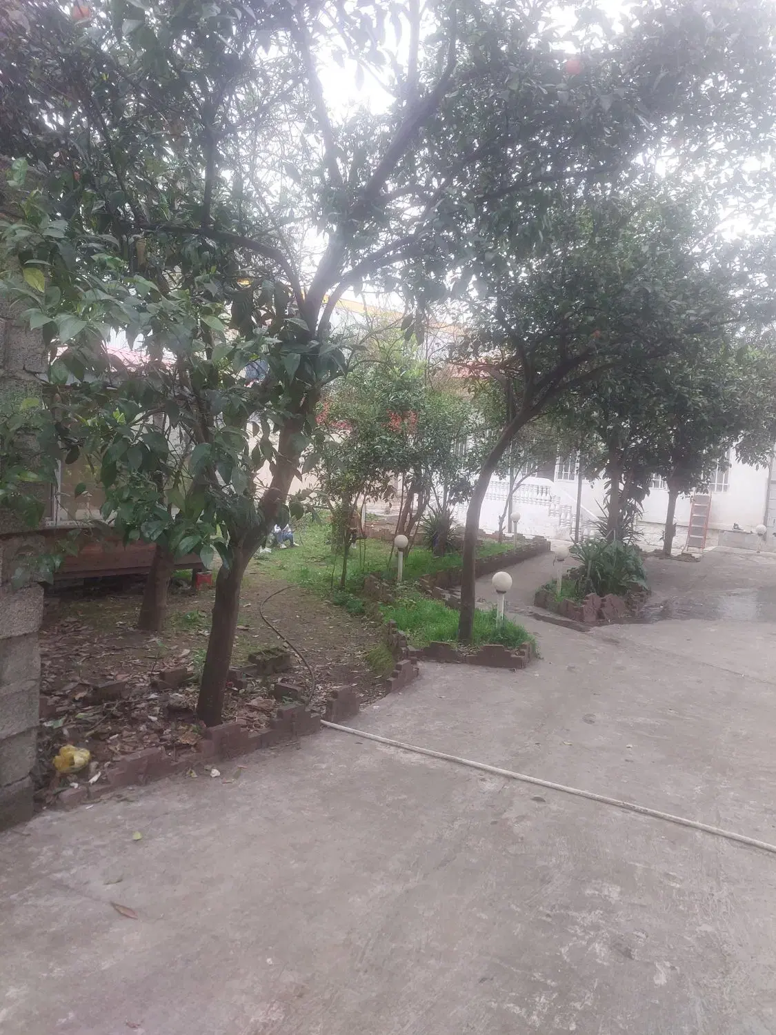 تصویر املاک 59600