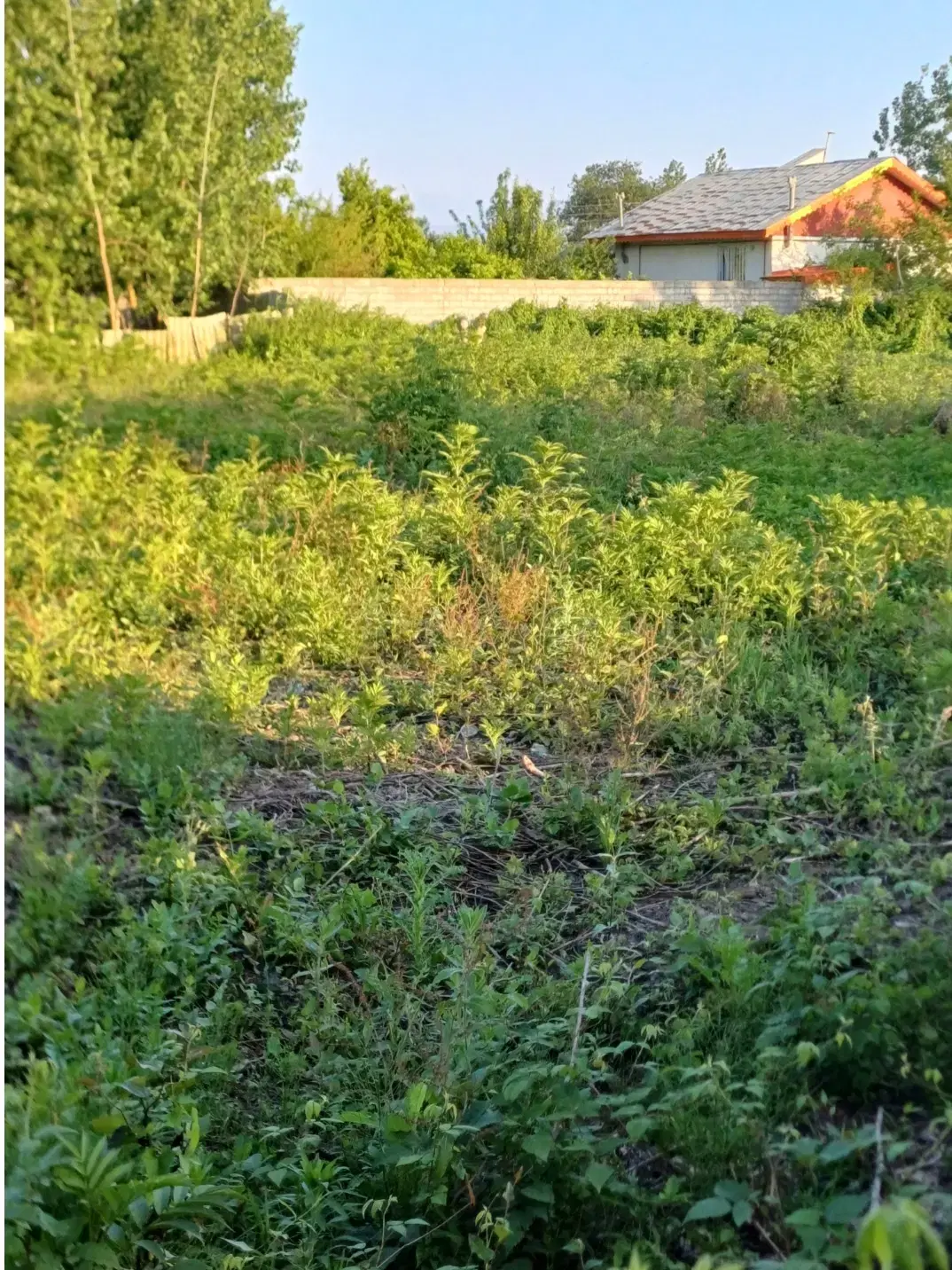 تصویر املاک 80083