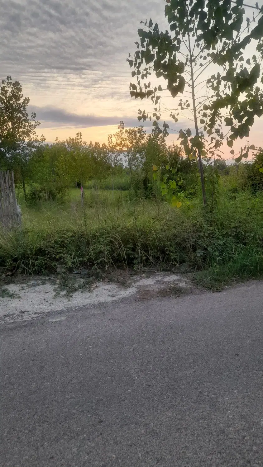تصویر املاک 89920