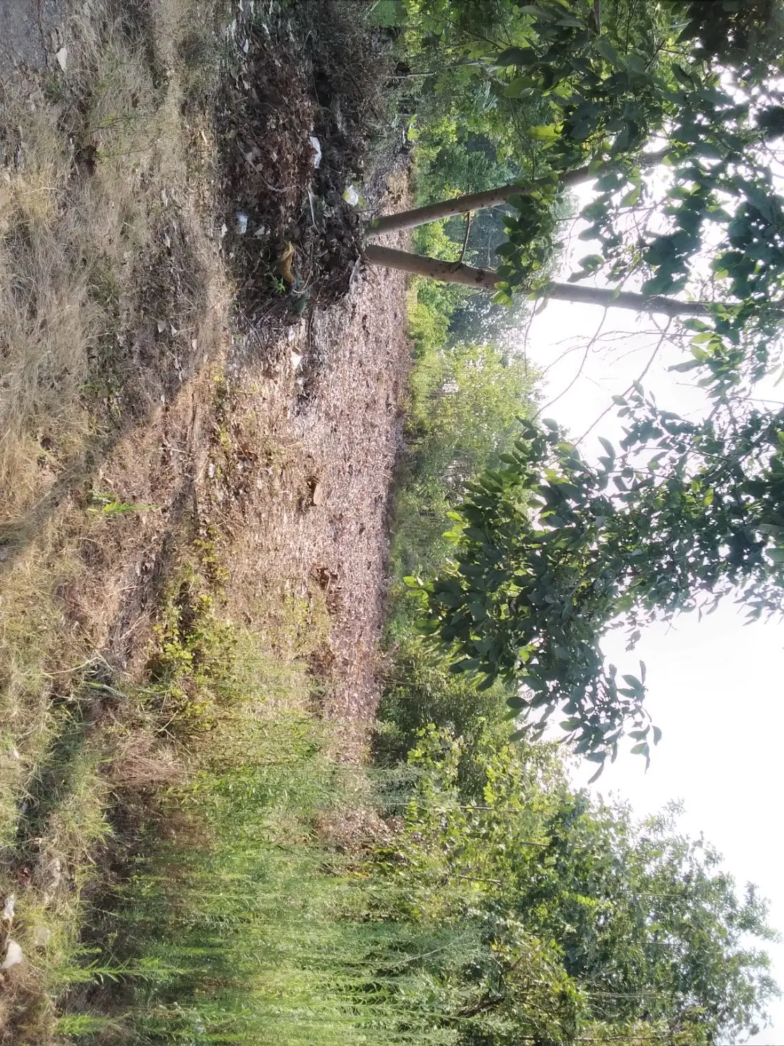 تصویر املاک 100156