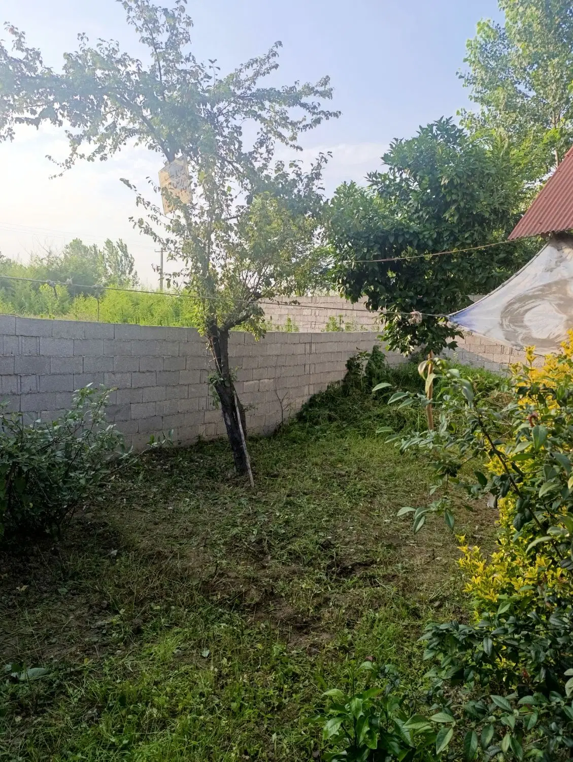 تصویر املاک 69593