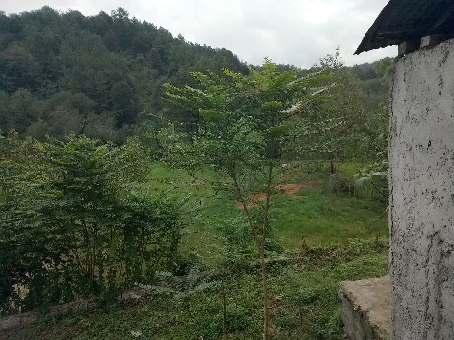 تصویر املاک 132548