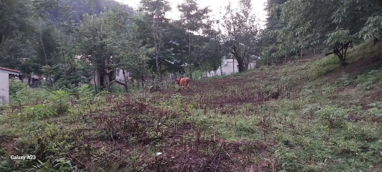 تصویر املاک 76202