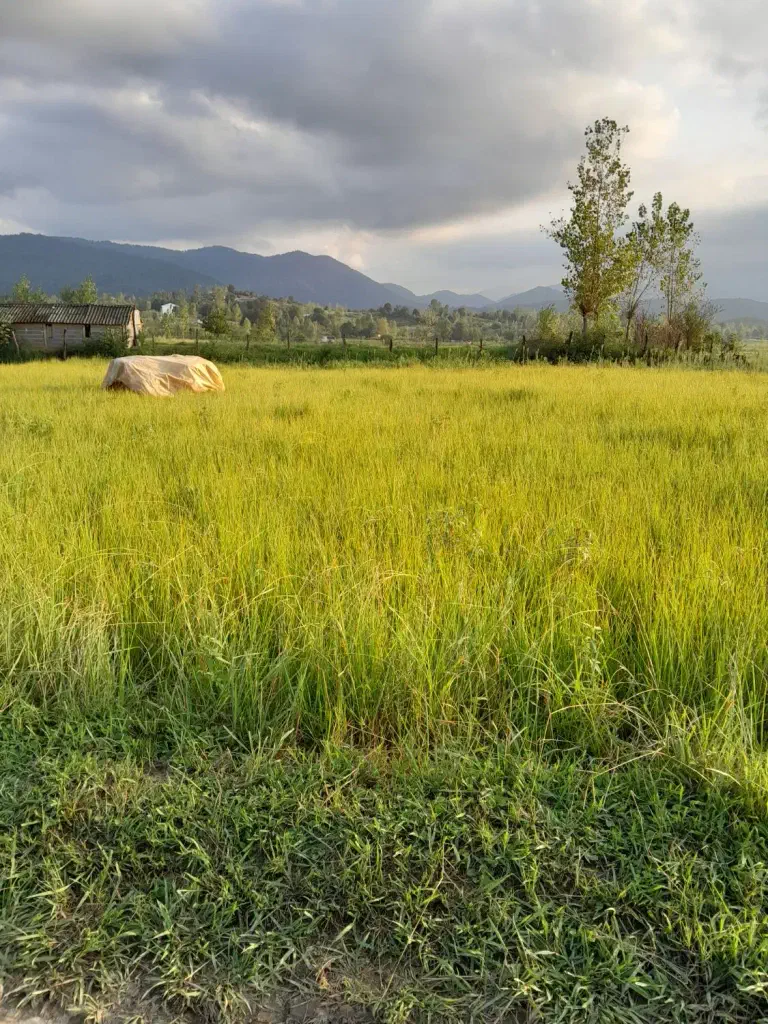 تصویر املاک 138844