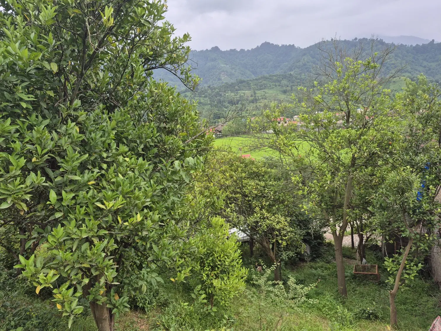 تصویر املاک 102034