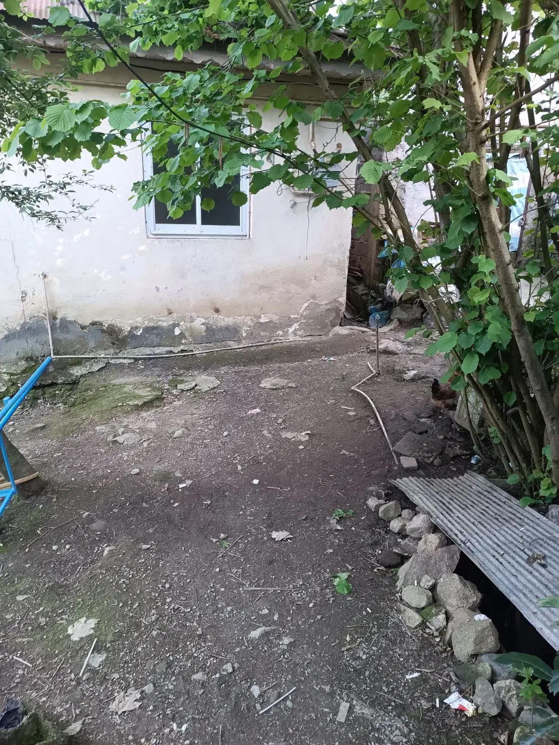 تصویر املاک 82701