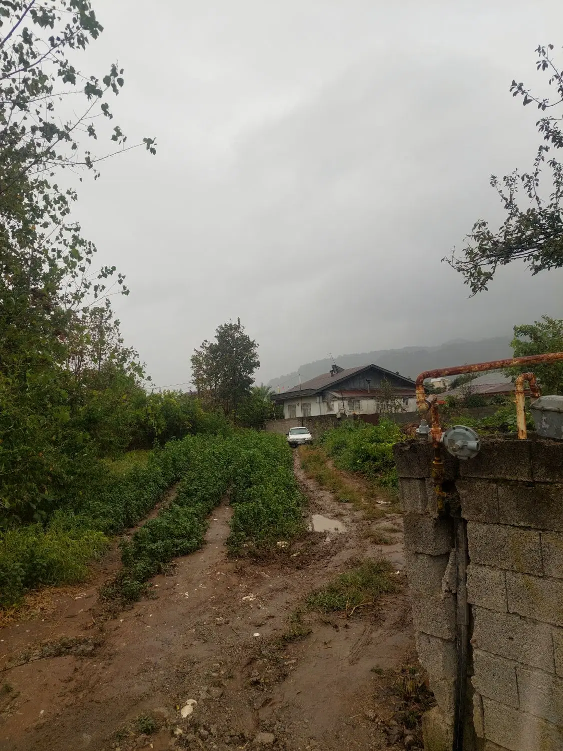 تصویر املاک 114723