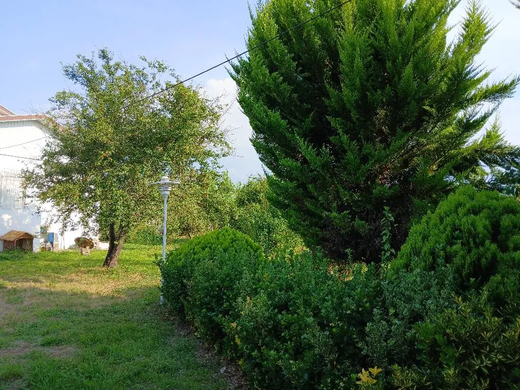 تصویر املاک 62065