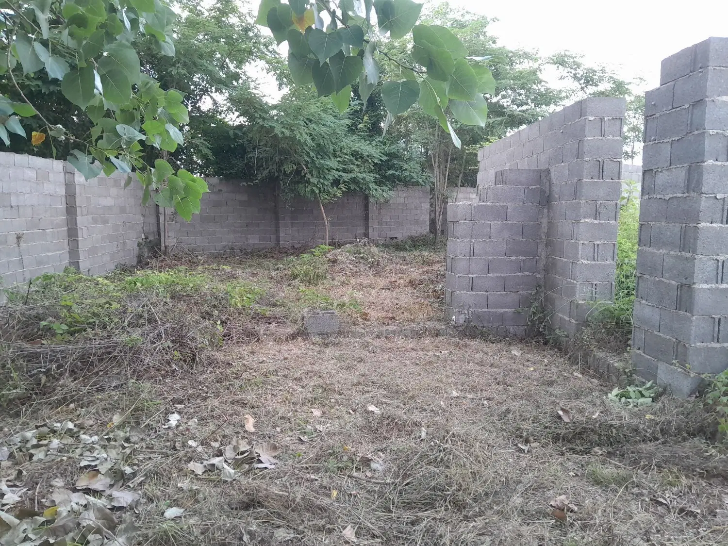 تصویر املاک 76596
