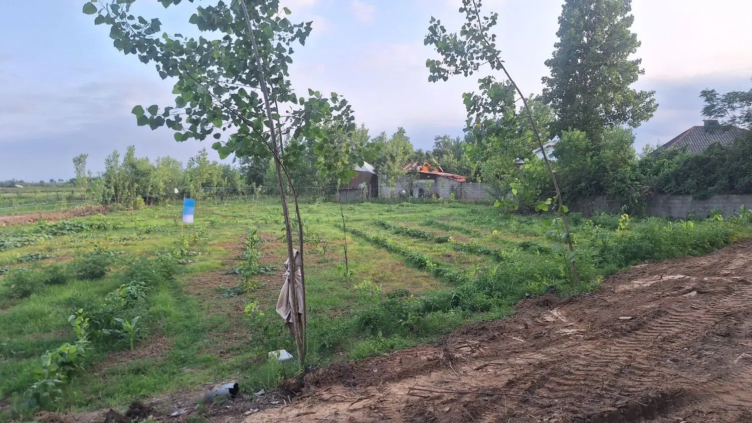 تصویر املاک 87128