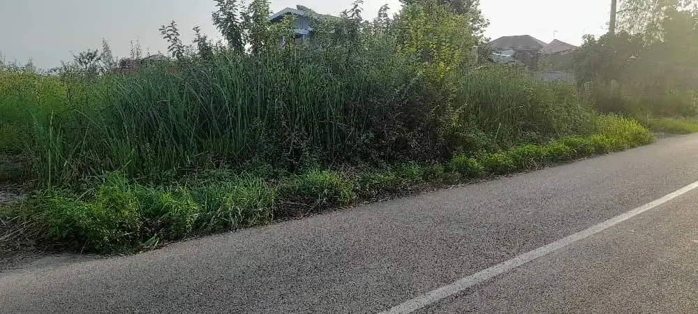 تصویر املاک 93524