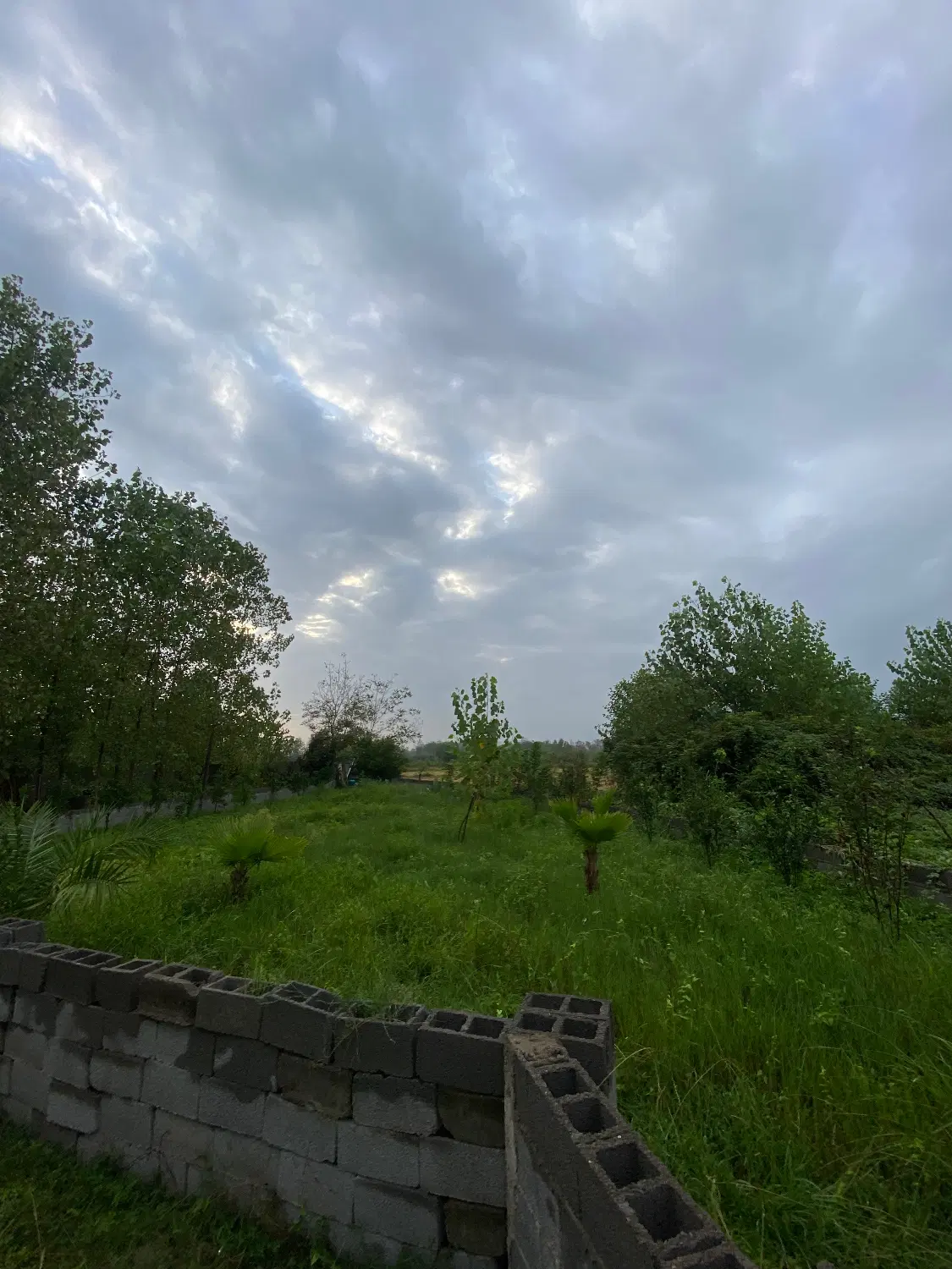تصویر املاک 117707