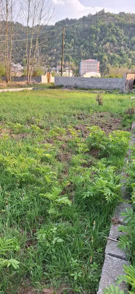 تصویر املاک 48031