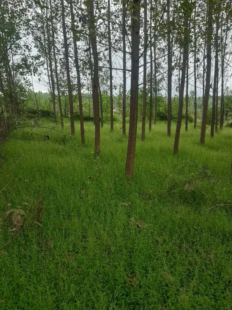 تصویر املاک 143027