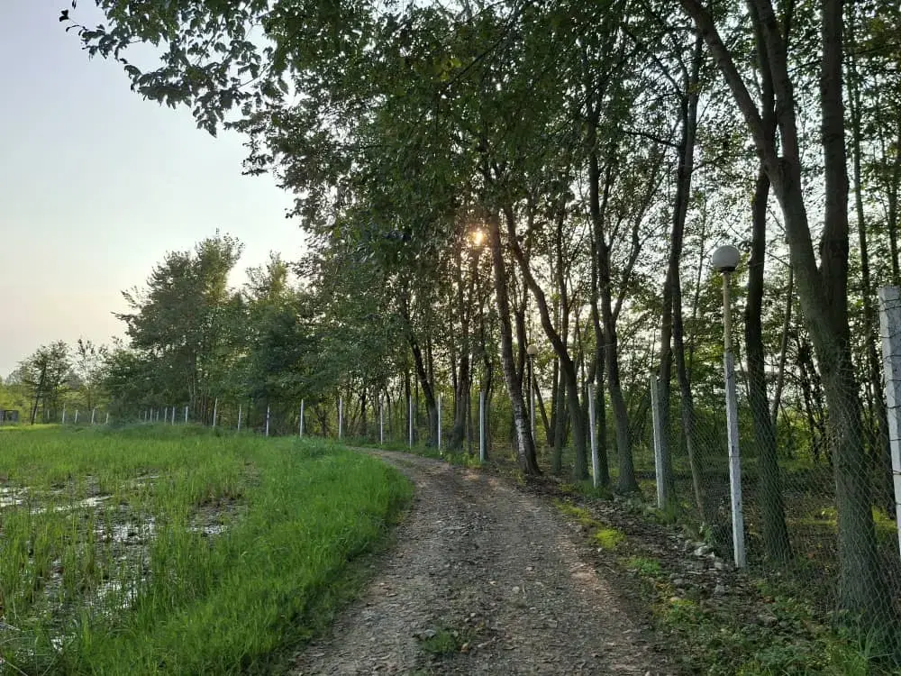 تصویر املاک 108620