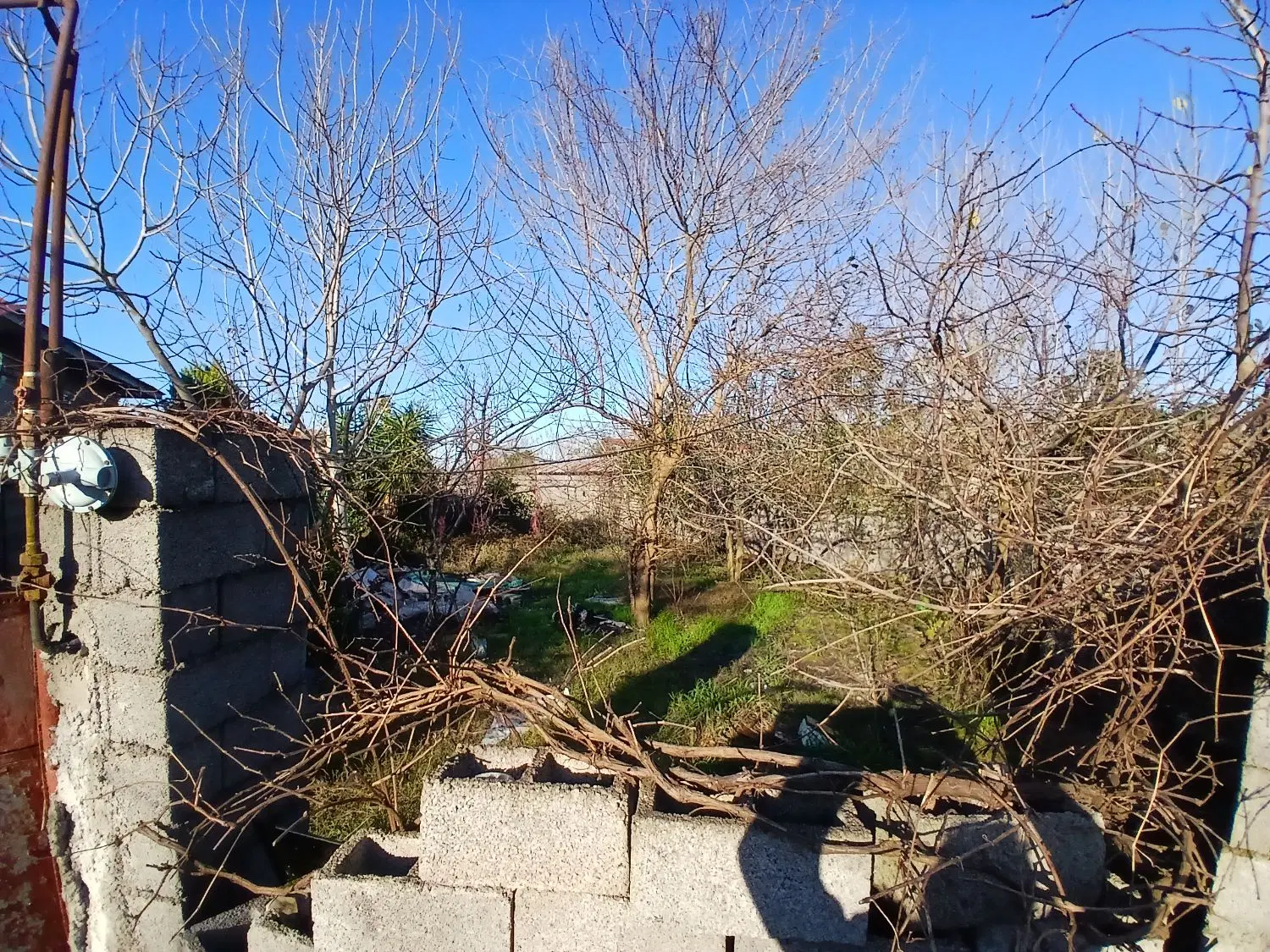 تصویر املاک 129958
