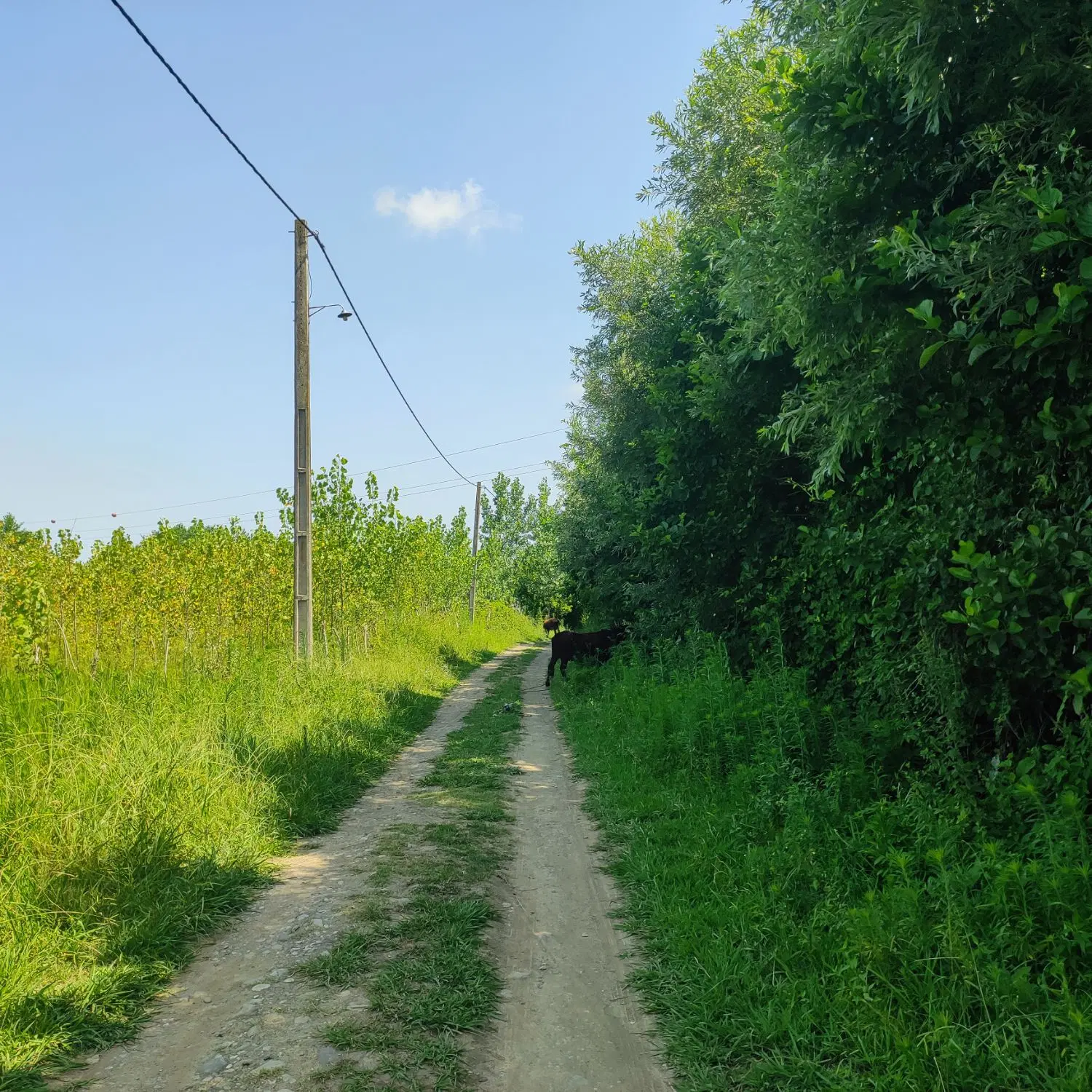 تصویر املاک 78547