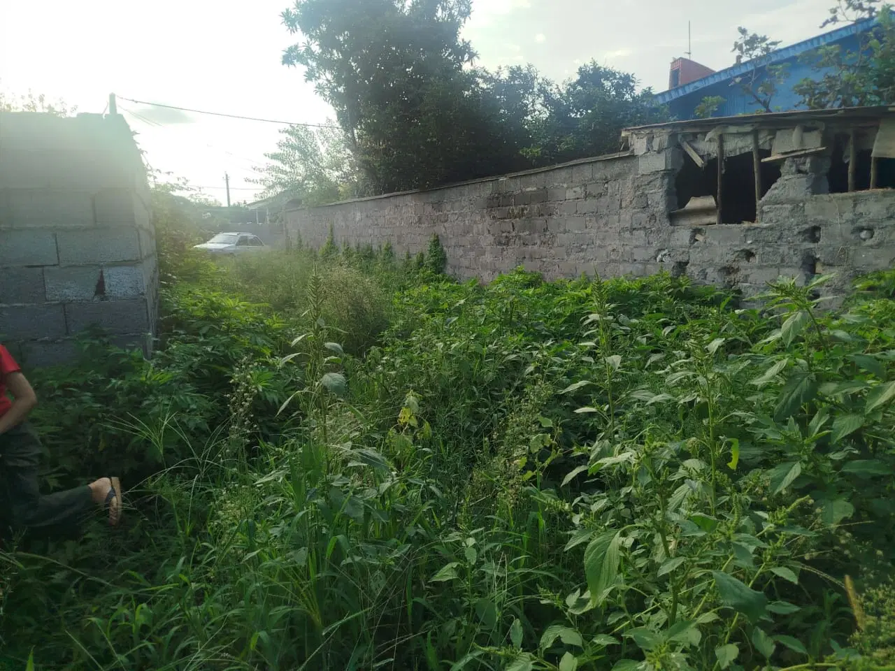 تصویر املاک 123158
