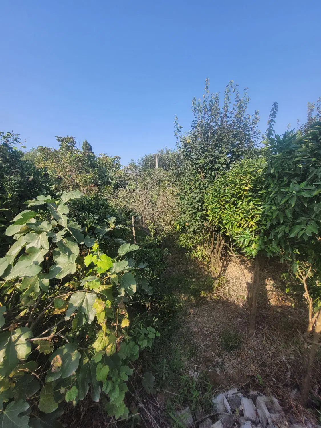 تصویر املاک 110969
