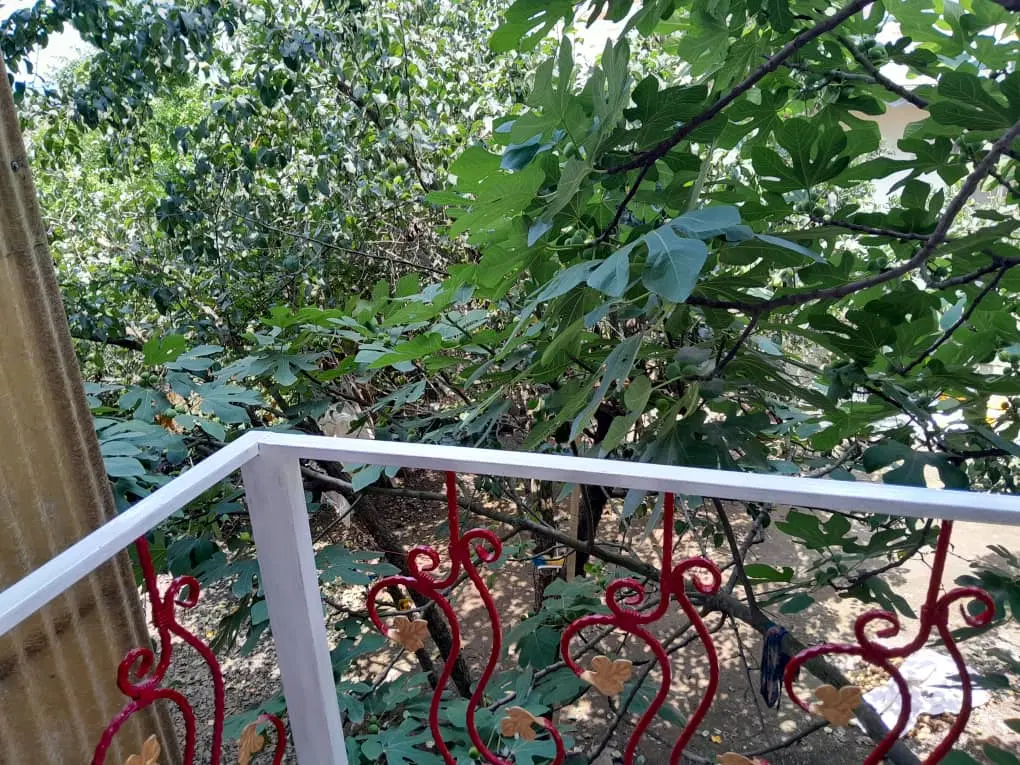 تصویر املاک 75470