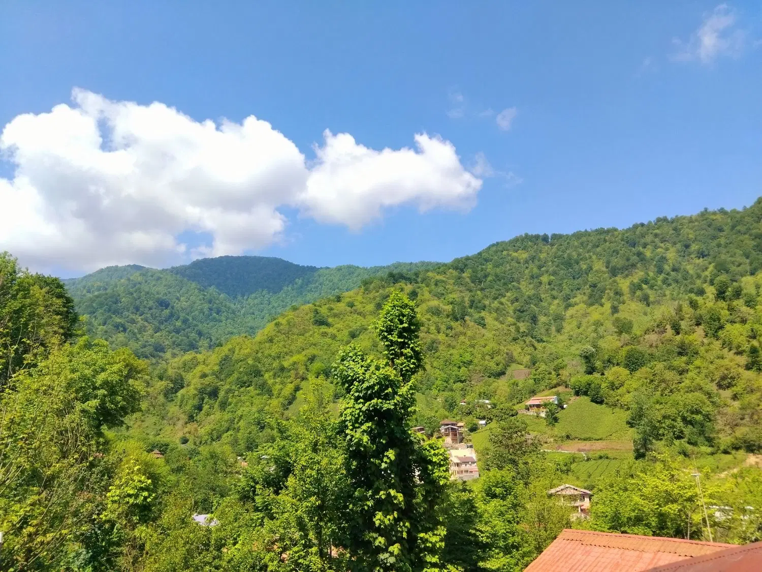 تصویر املاک 50357