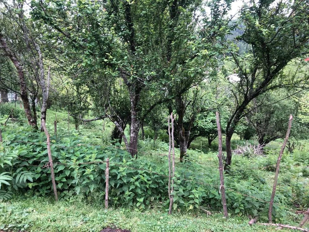 تصویر املاک 130775