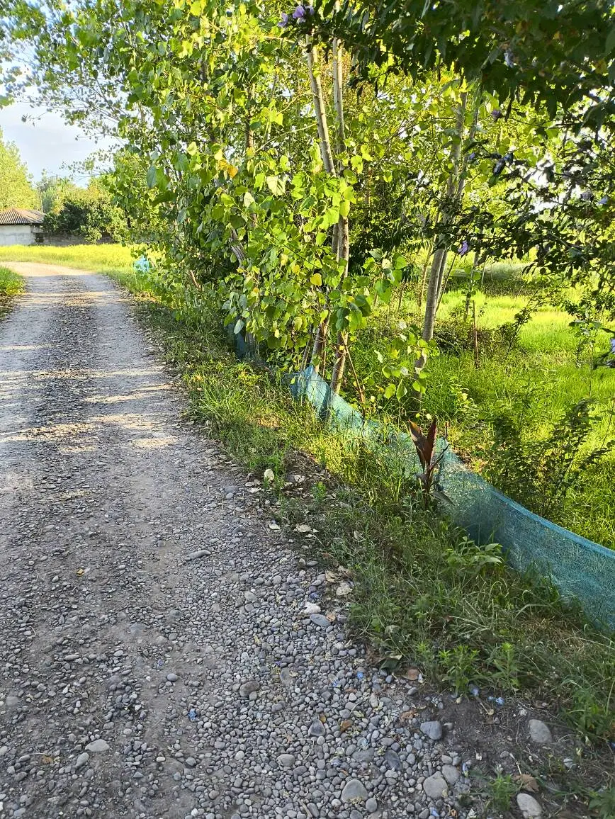 تصویر املاک 101289