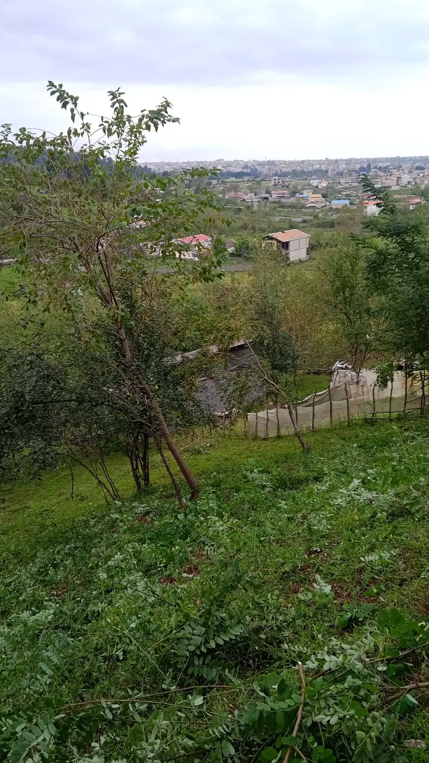 تصویر املاک 93160