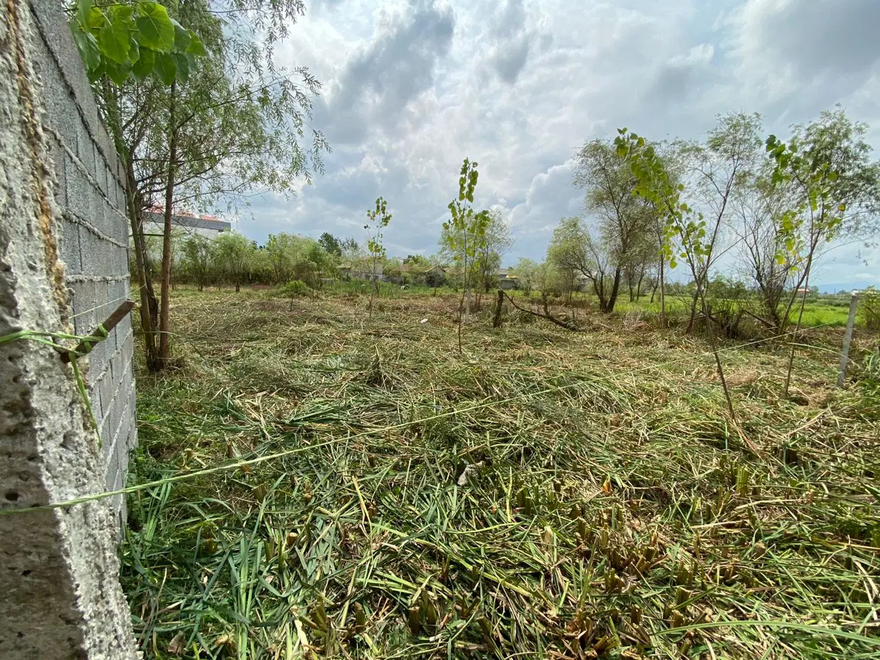 تصویر املاک 77227