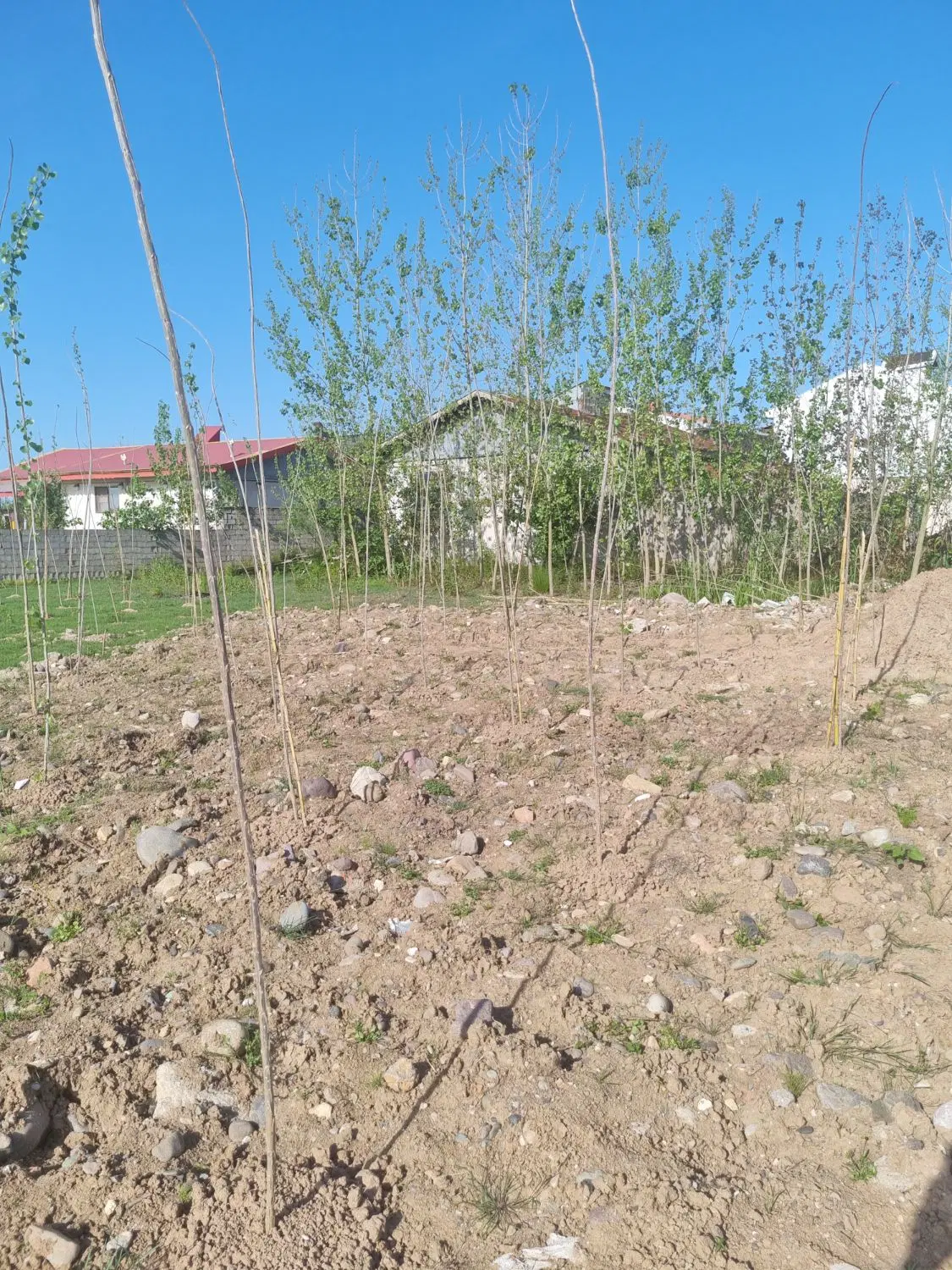 تصویر املاک 54427