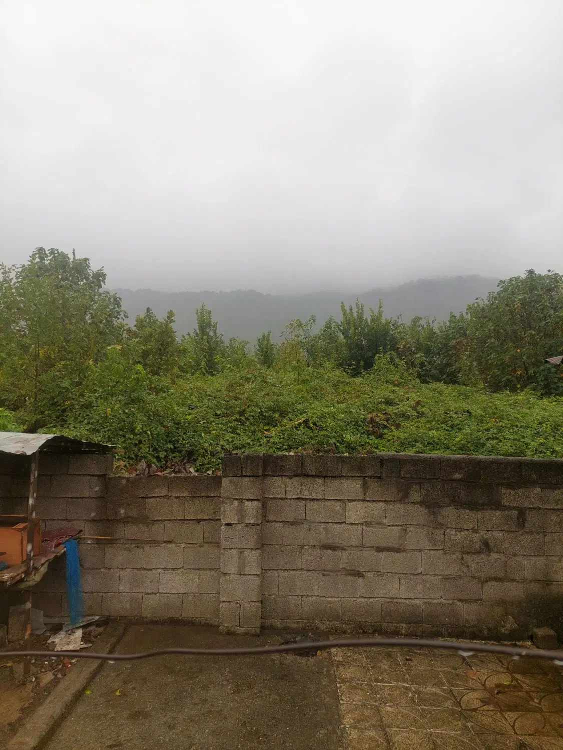 تصویر املاک 114718