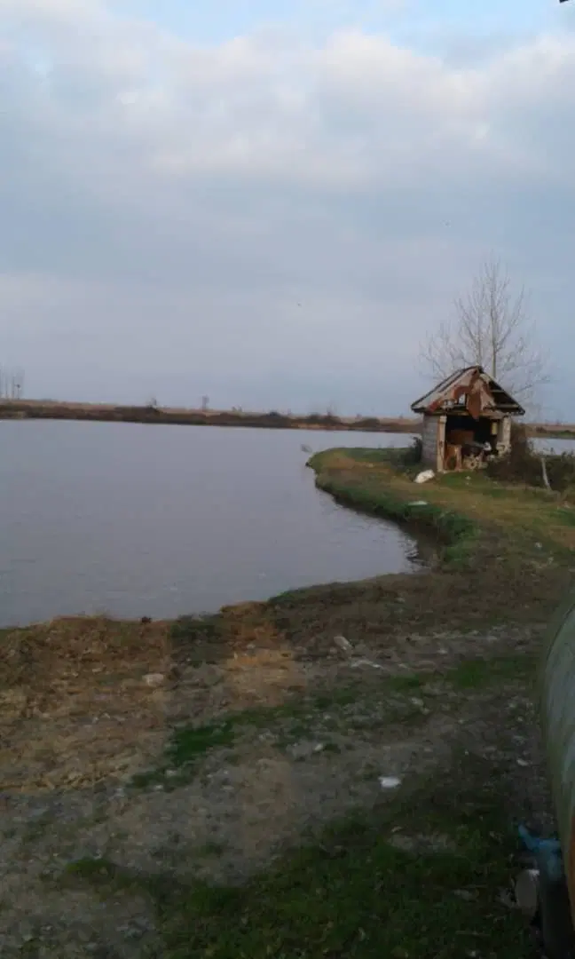 تصویر املاک 66582