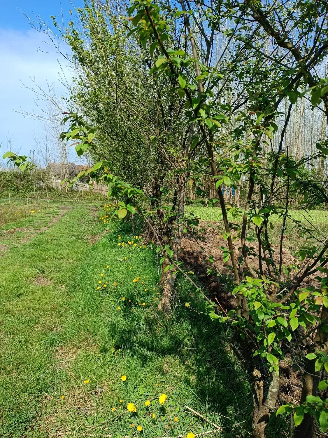 تصویر املاک 41297