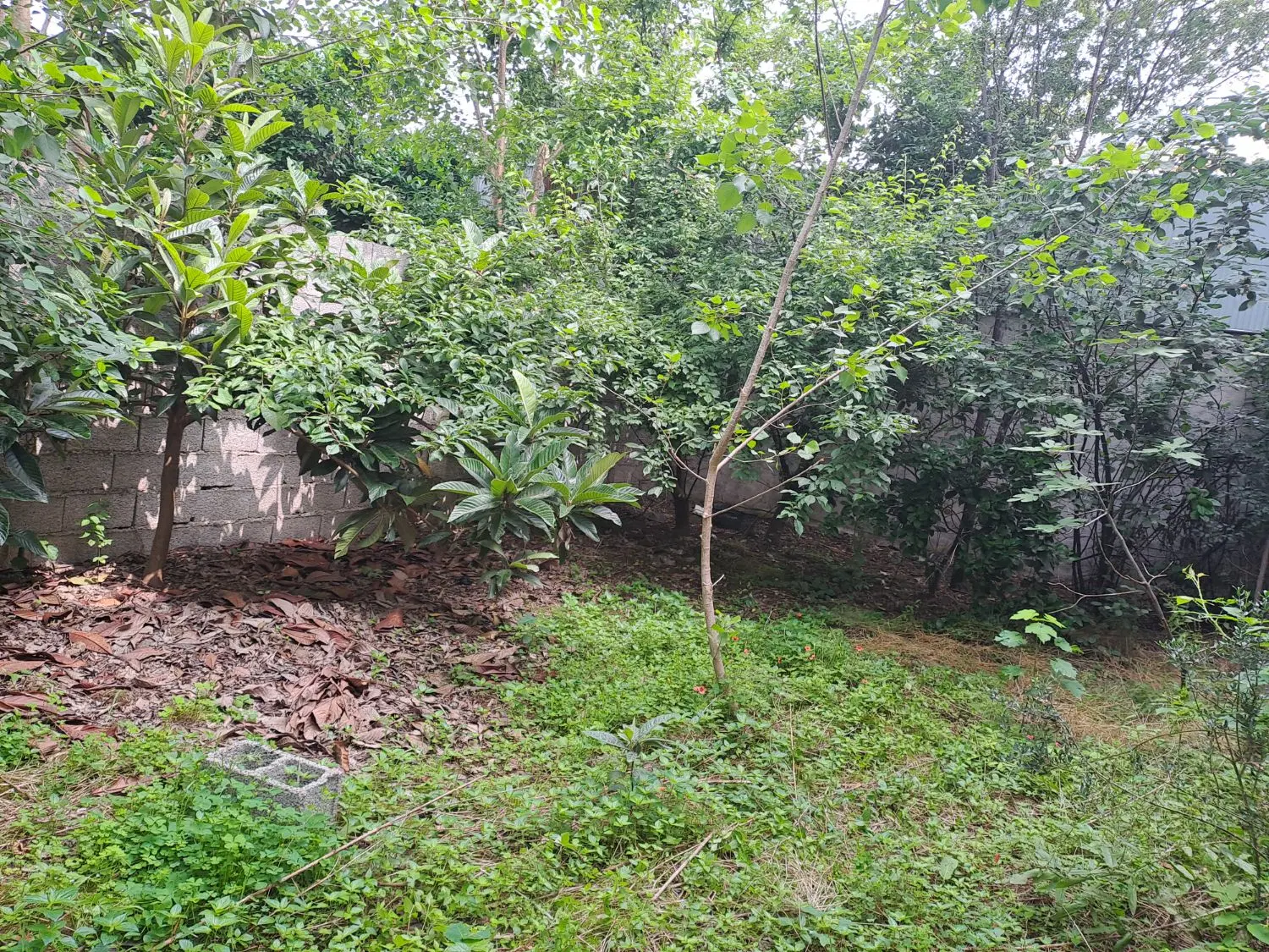 تصویر املاک 52022